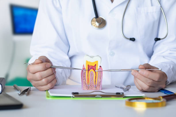 Best Urgent Dental Care for Toothache in Kaufman, TX